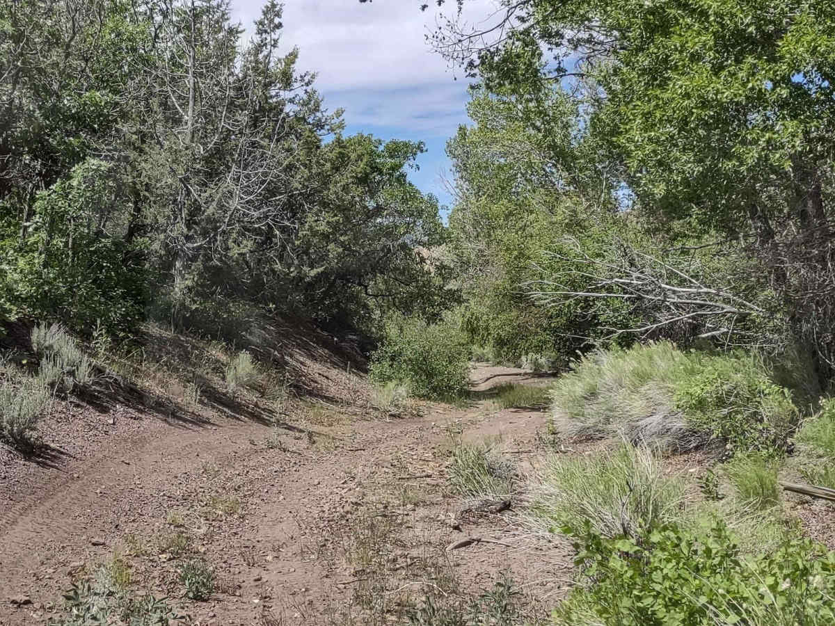 Manning Creek Canyon (FS# 42000) photo 2
