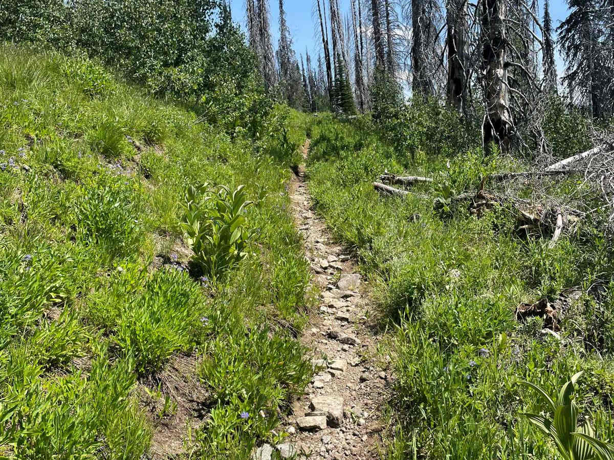 Vance Creek photo 4