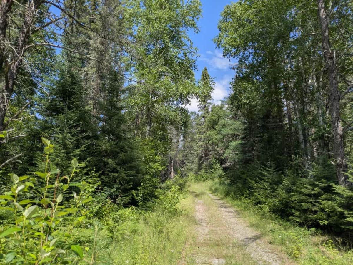 Keeley Creek photo 5