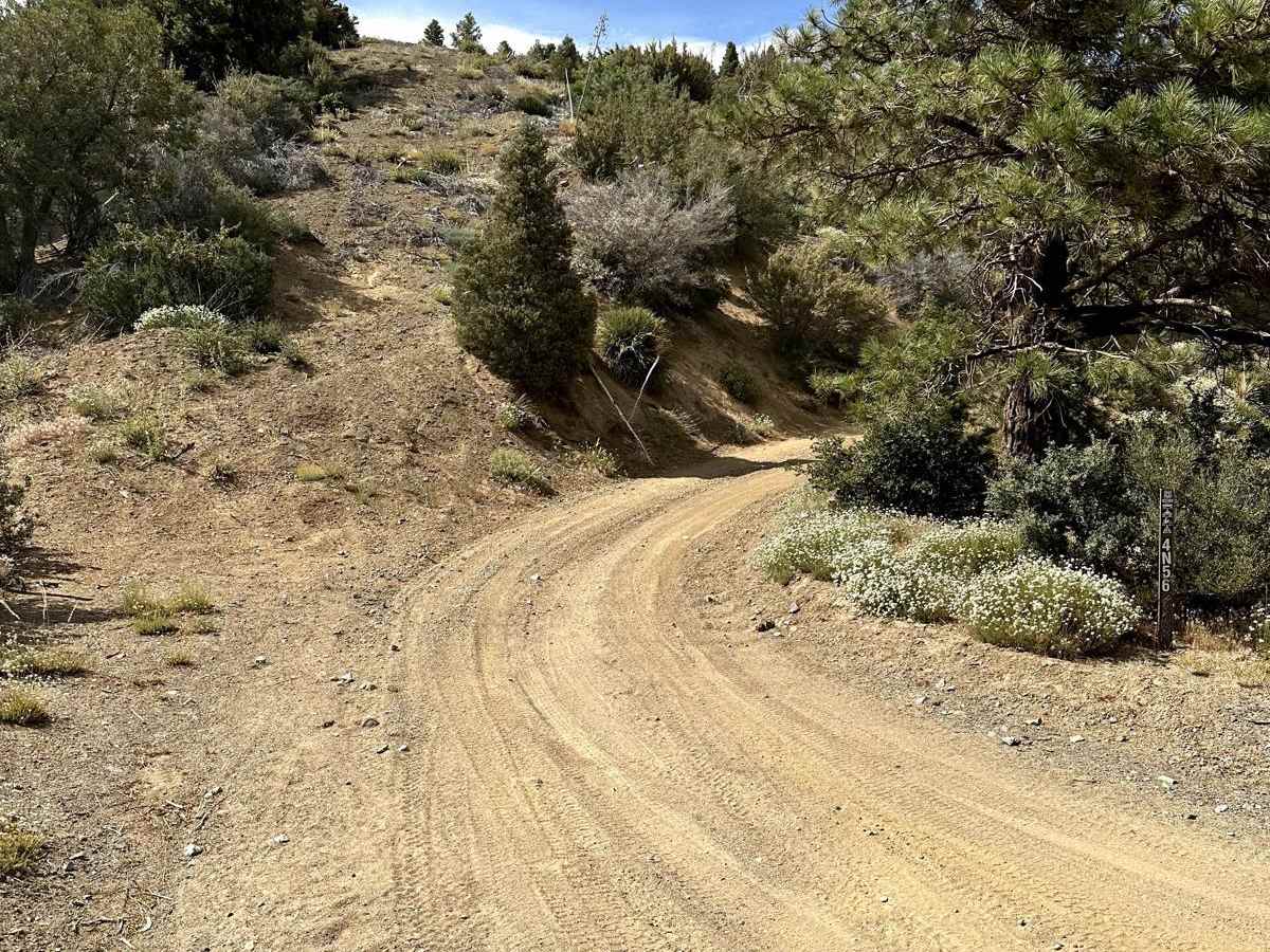 Pinyon Ridge Truck Trail trail photo