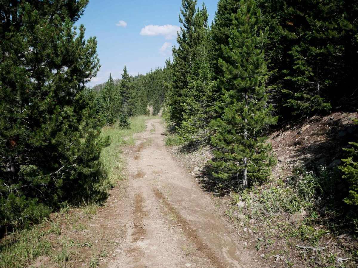 Jackson Divide ATV photo 6