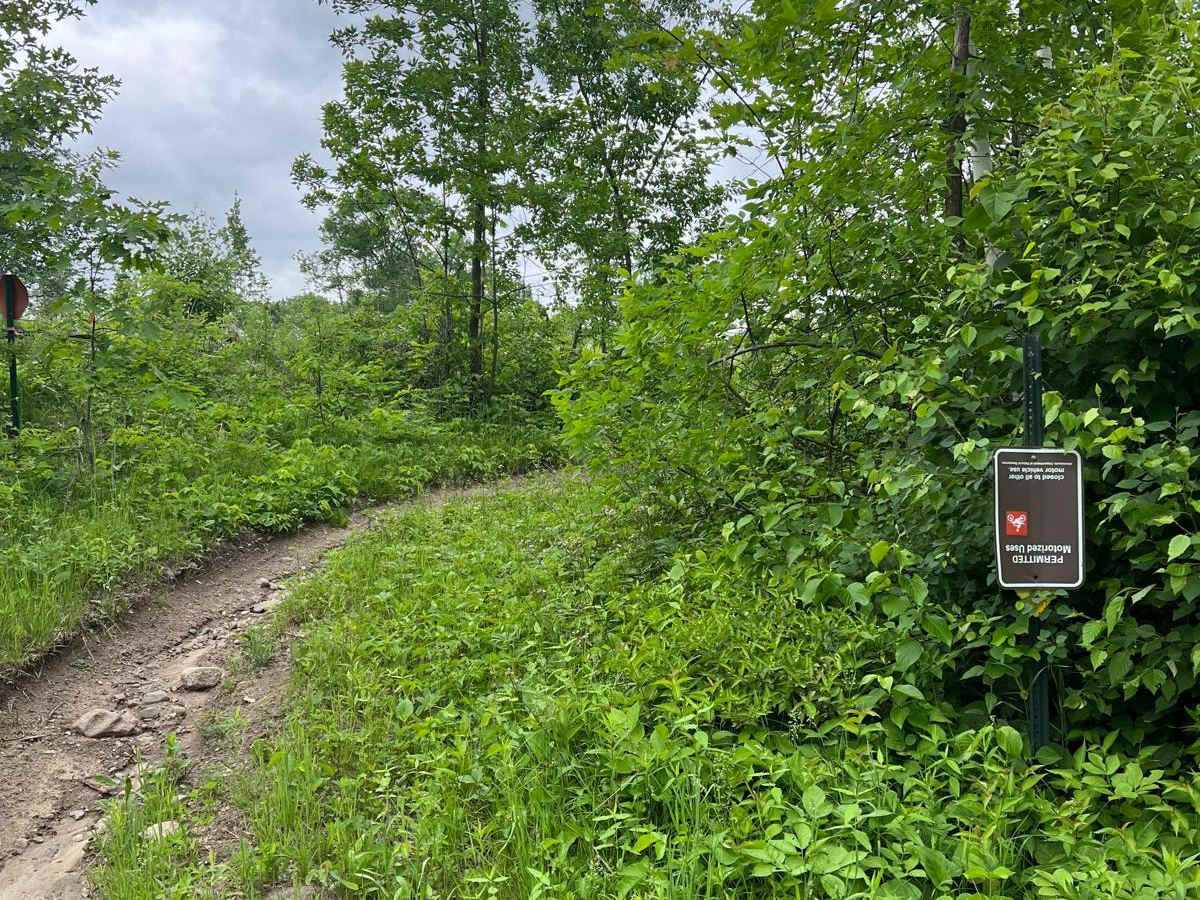 Paul Bunyan NW Loop Part 1 trail photo