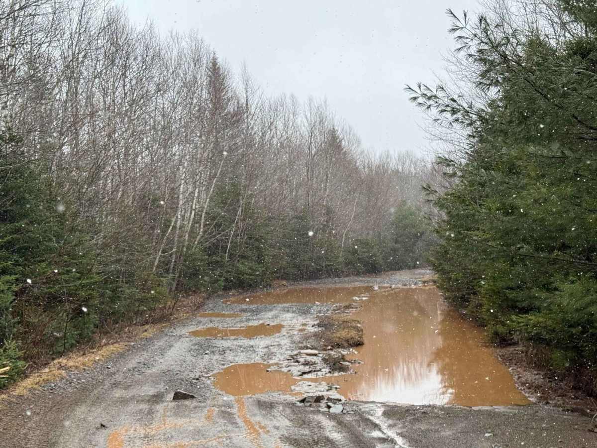 Scott Paper Road photo 3