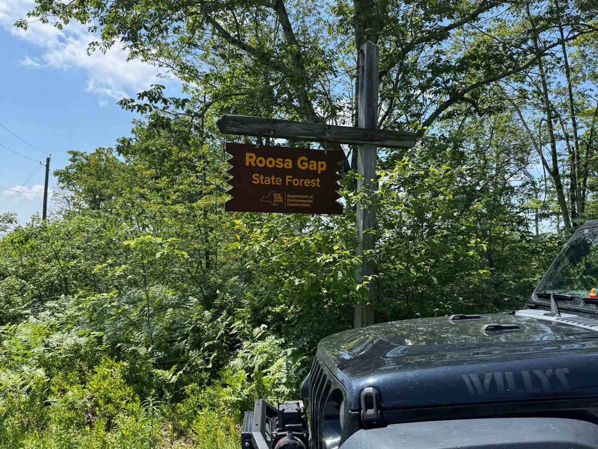 Fire Tower Road photo 2
