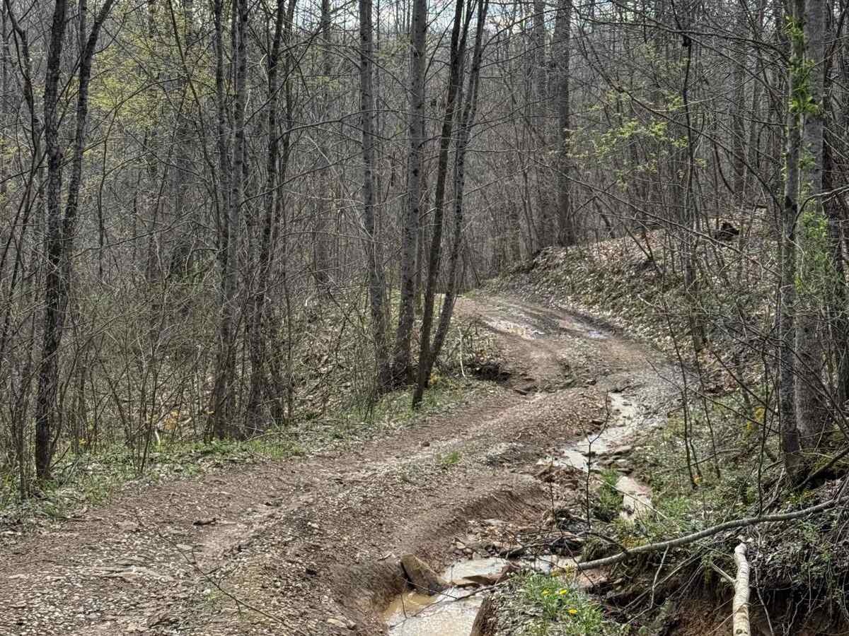 Trail 21 trail photo