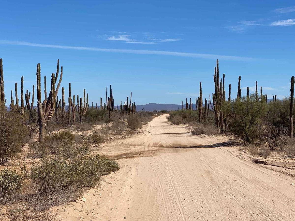 Rancho Santa Marta trail photo