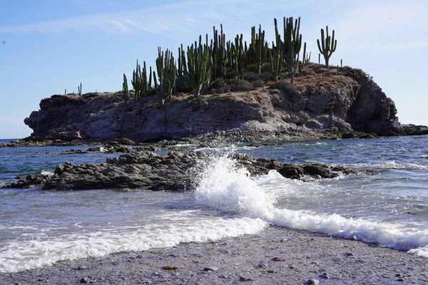 Trail to Playa El Choyudito
