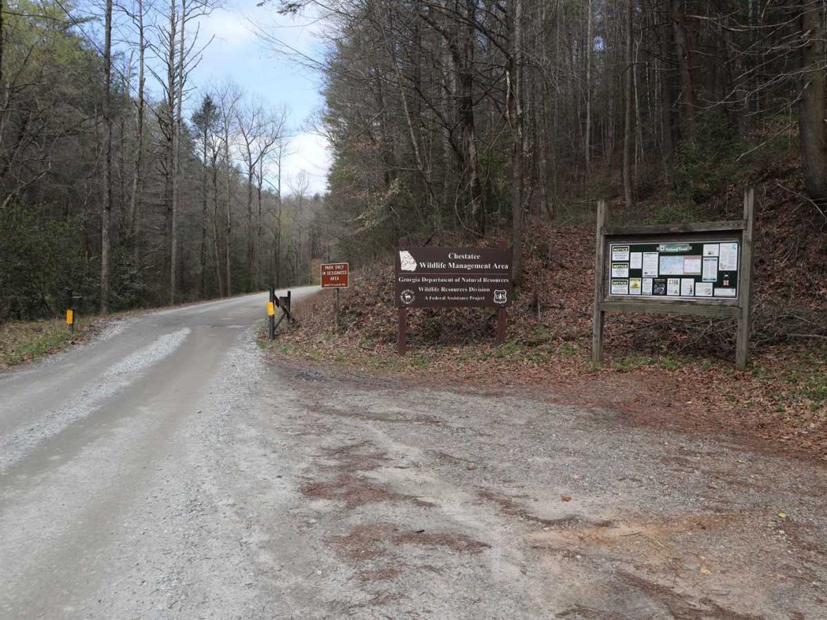 Dicks Creek photo 4