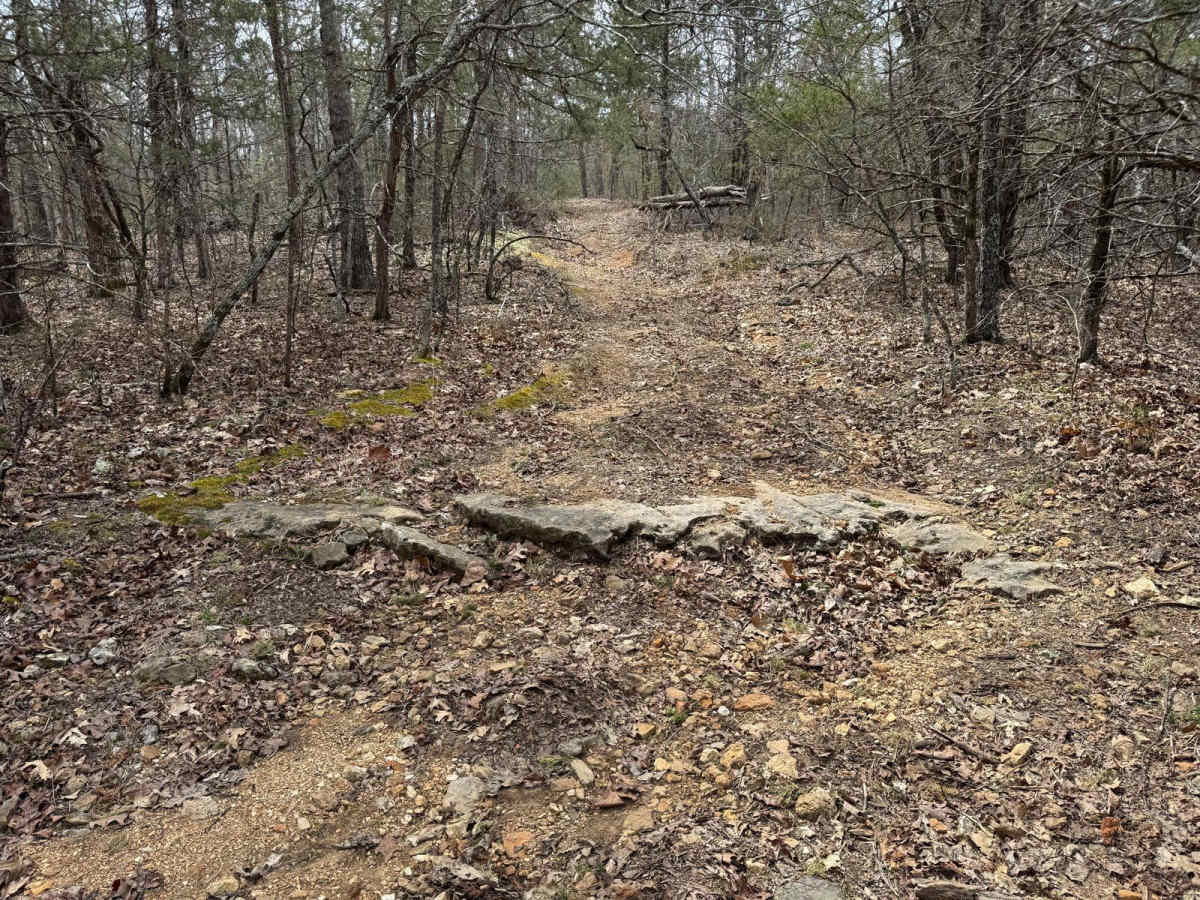 Jones Ridge - FSR 175 photo 5