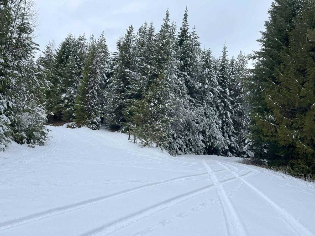 Track 4739 trail photo