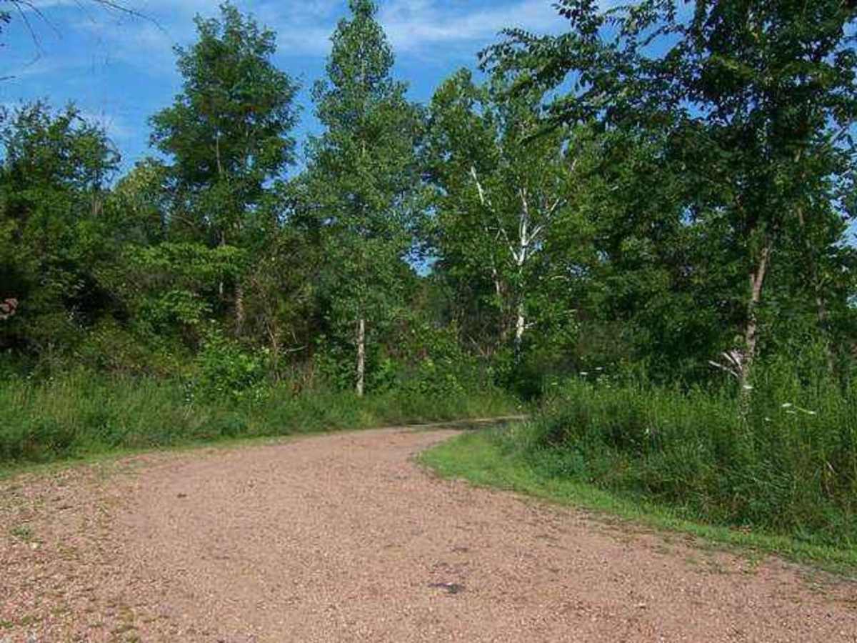 44/1 Bellwood Corporation Mine (Ford Knob Road) photo 2