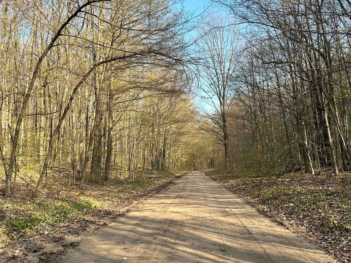 Cadillac Area ORV/OHV Scenic Ride - Part 6 photo 3