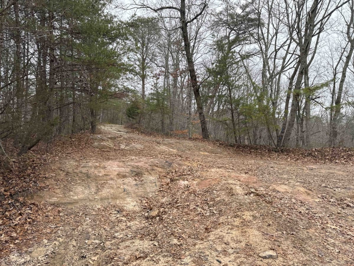 Wildcat Road photo 2