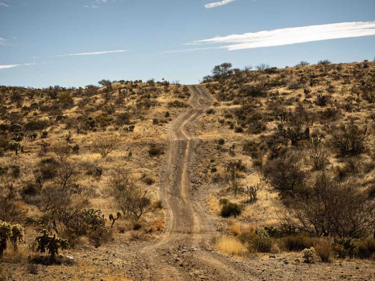 Lovetta Trail photo 3