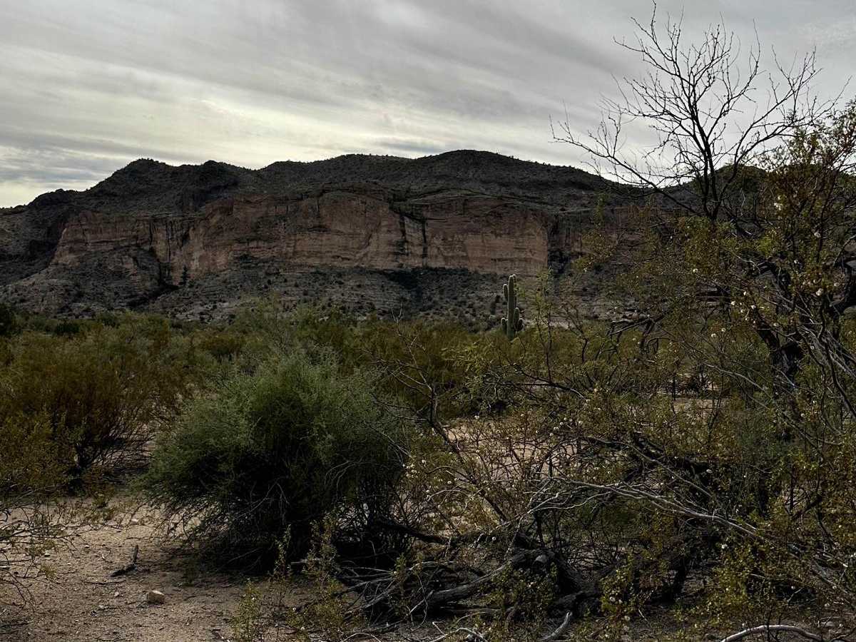 Powerline Loop Trail photo 4