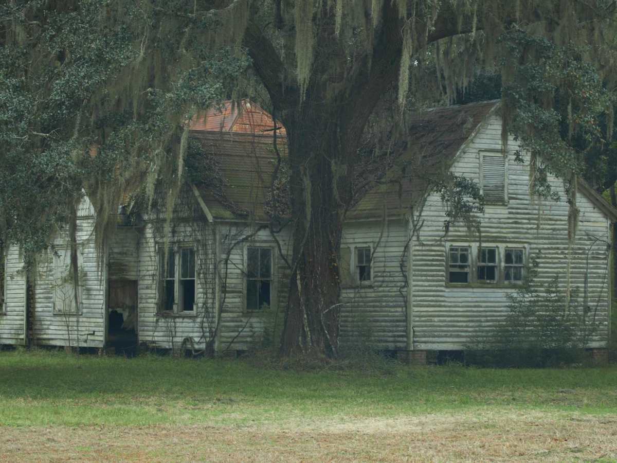 Donnelly WMA PT.7 photo 3