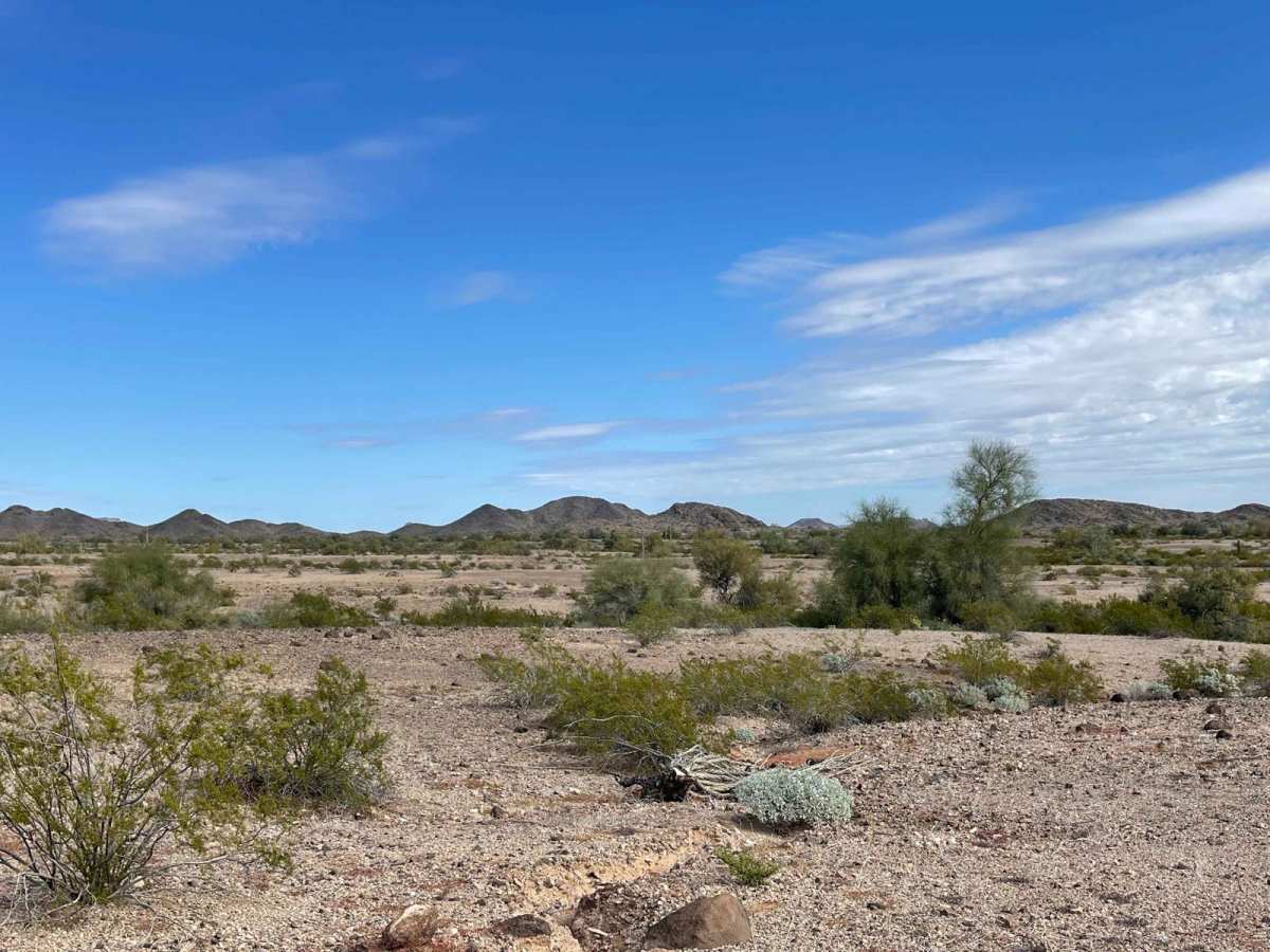 Coyote Mine Road trail photo