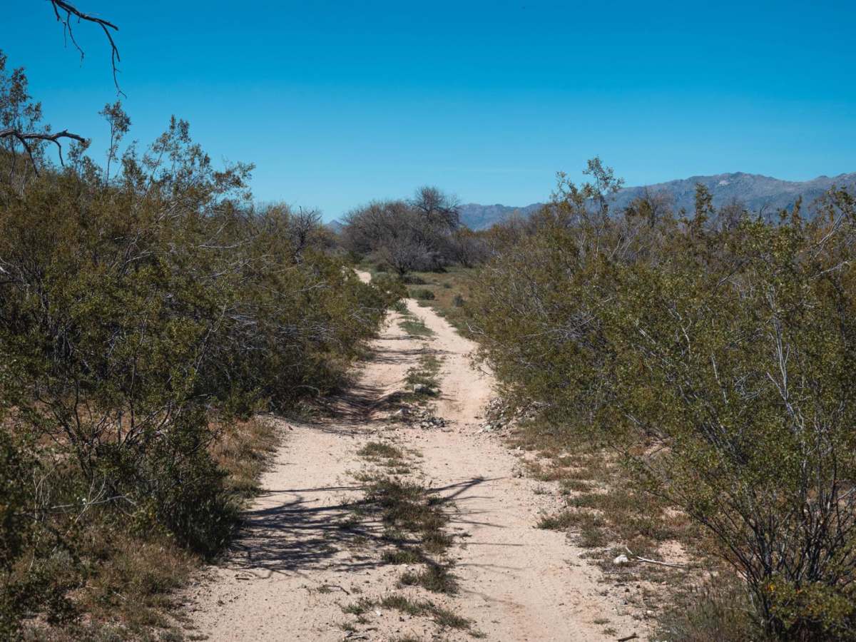 Bravo Wednesday photo 4