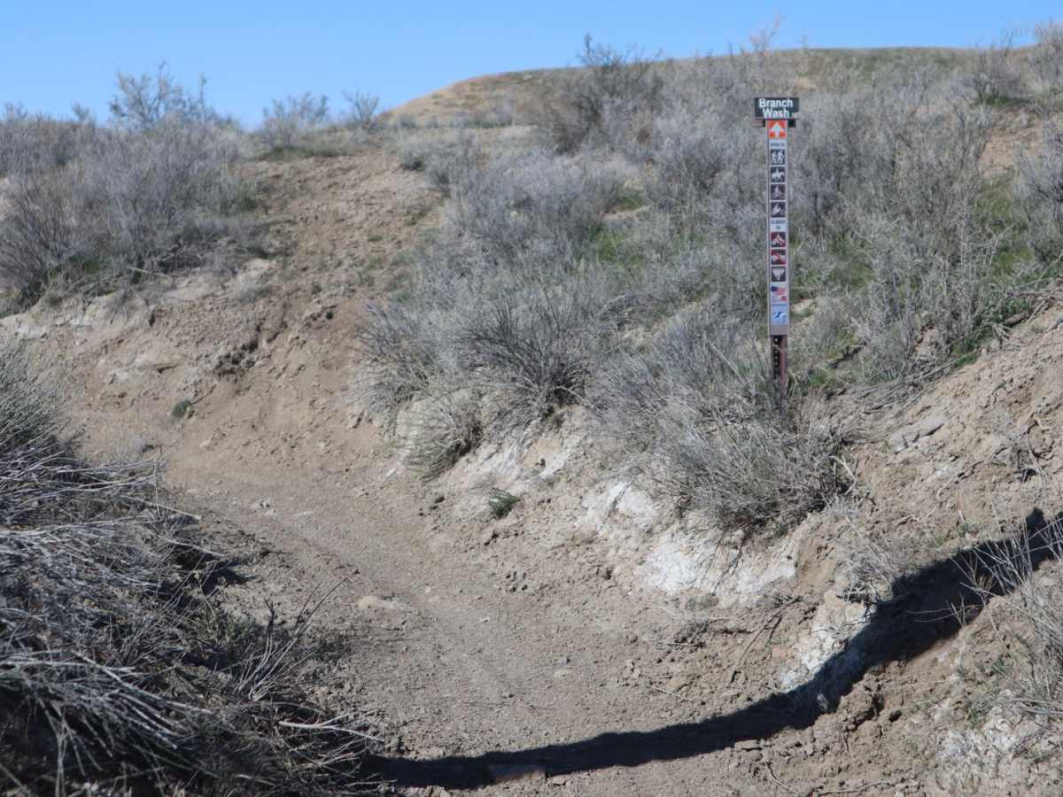 BLM Route 174 photo 6
