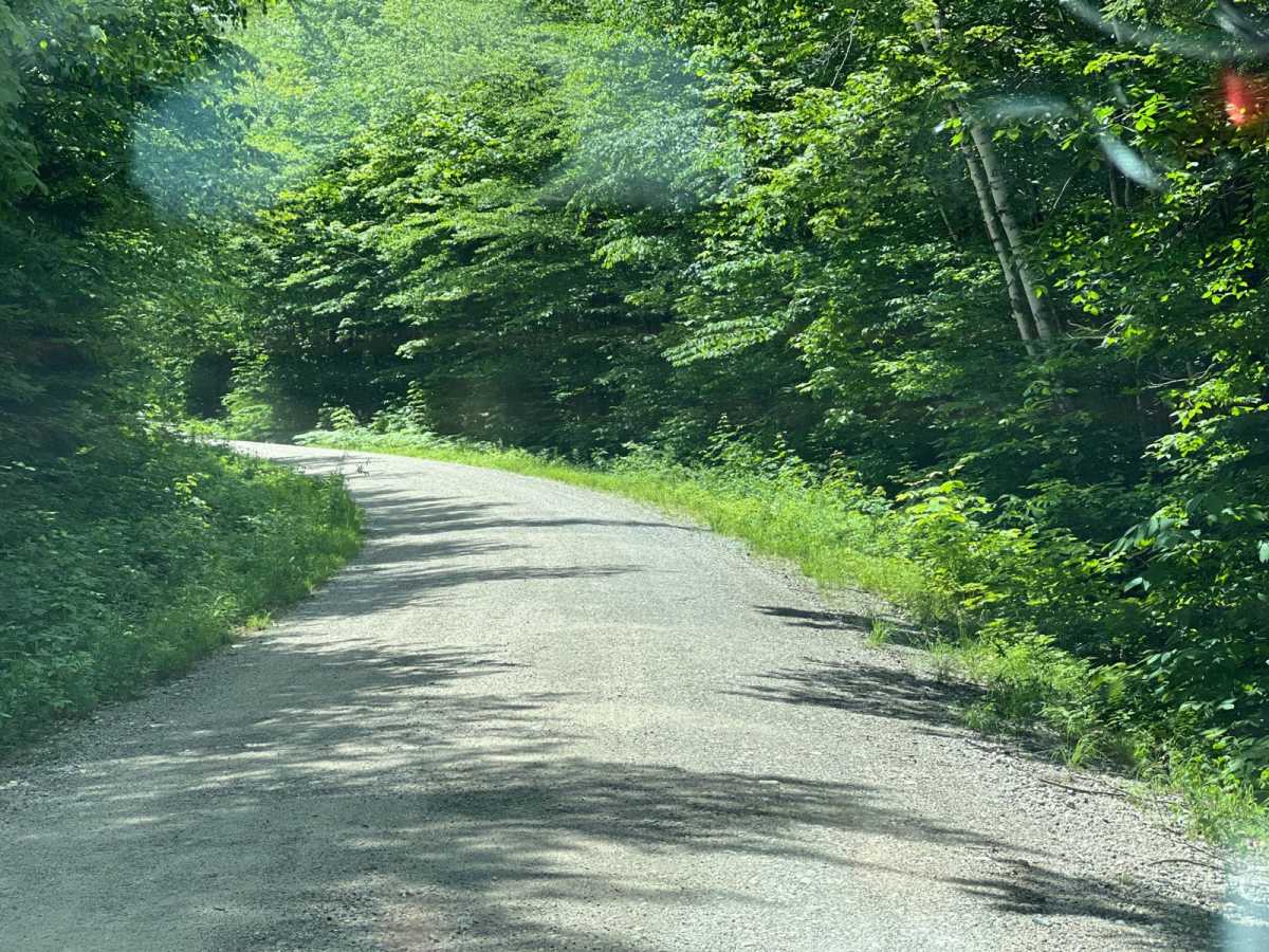 Little Larry Road photo 2