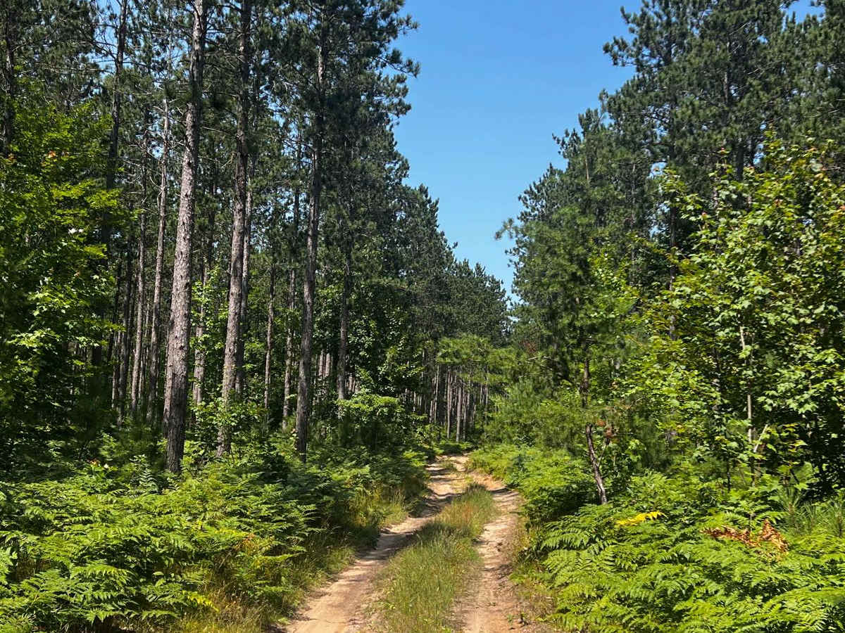 River Overlook Trail photo 5