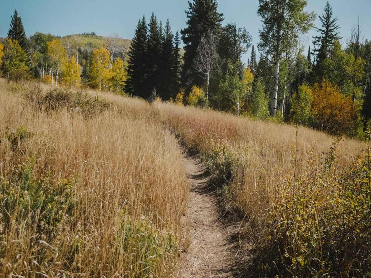 Milepost One Trail photo 3