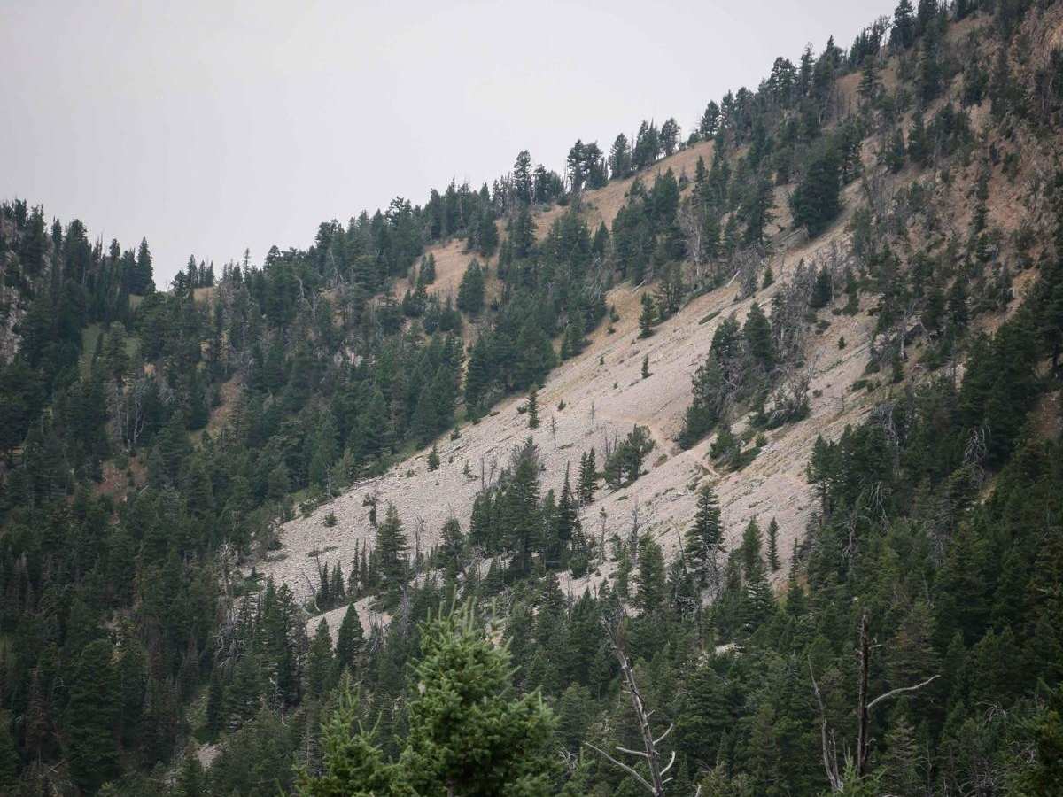 Bridger Ridge photo 4