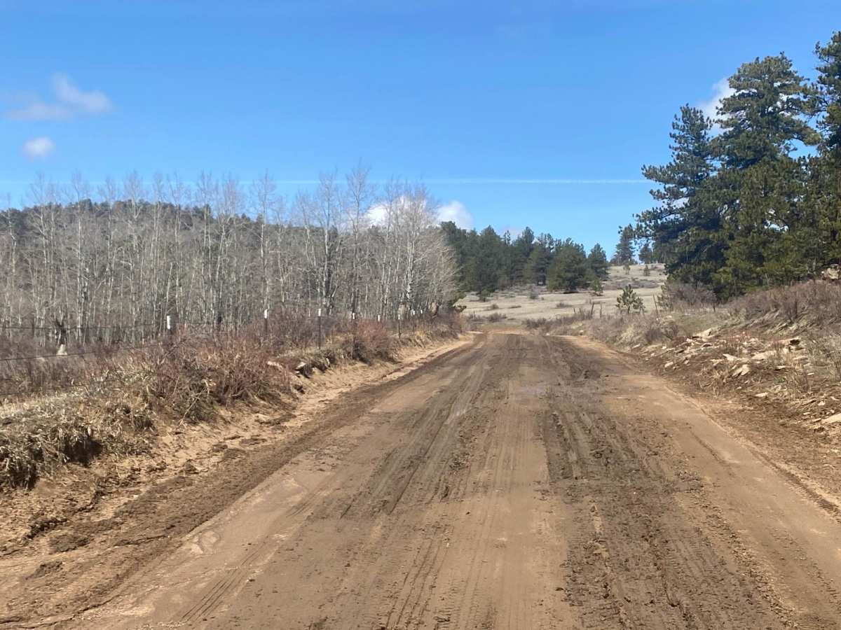 CR 80C Non-Maintained Track of Cherokee Park Road photo 2