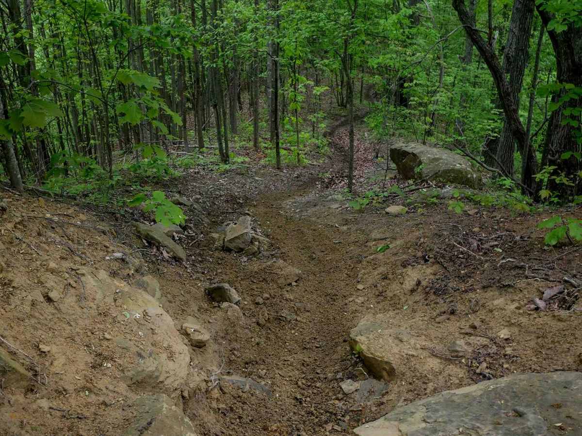 BM 137 trail photo
