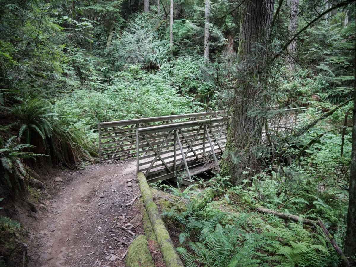 Tooler trail photo
