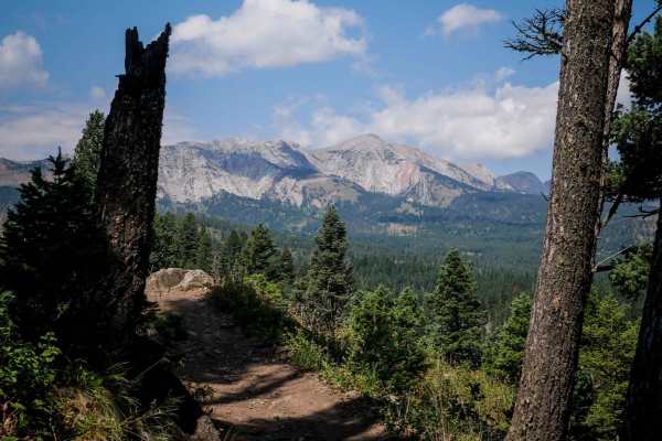 Bangtail Divide Trail #504