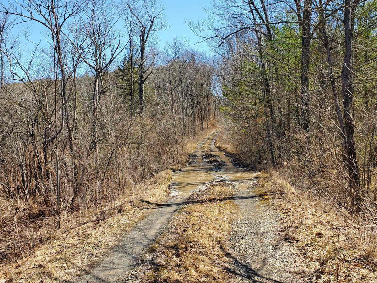 West Hill Trail photo 3