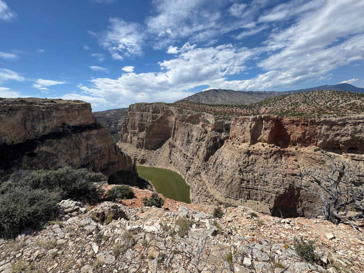 Bighorn Canyon Overlook photo 4