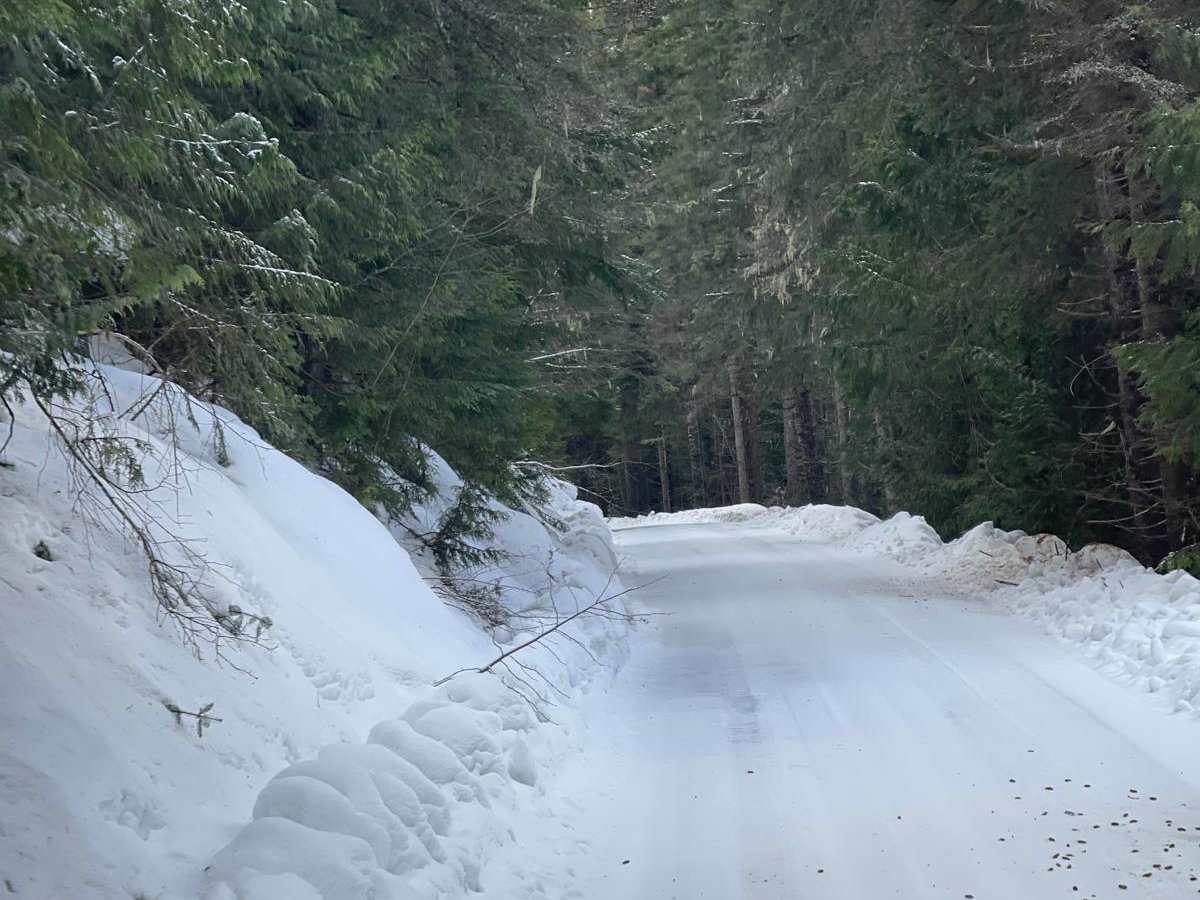 Quartz Creek 416 trail photo