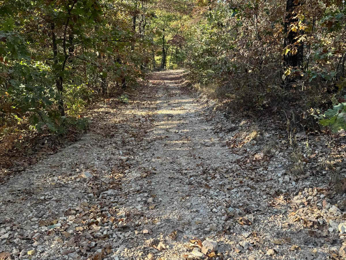 Yellow 46 trail photo