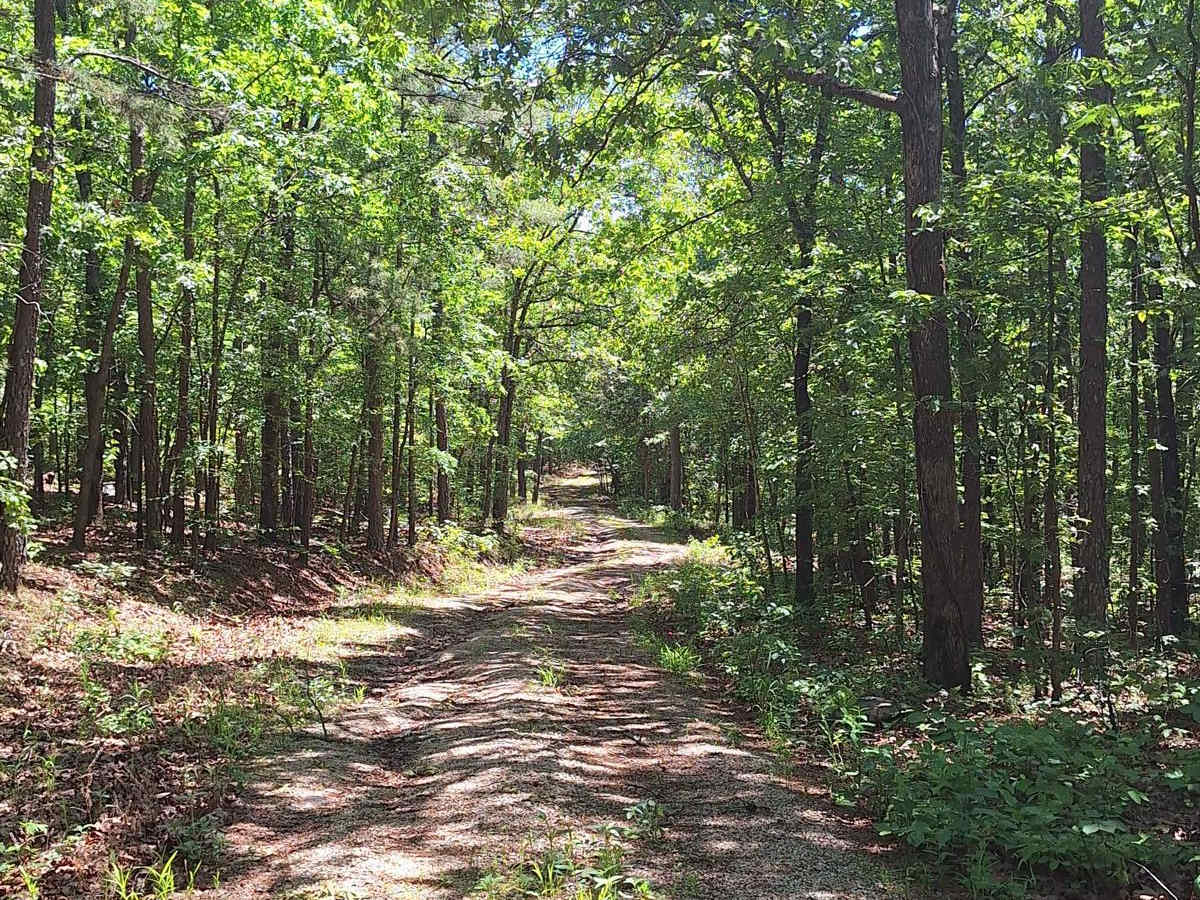 South Windy FSR 3304 photo 2