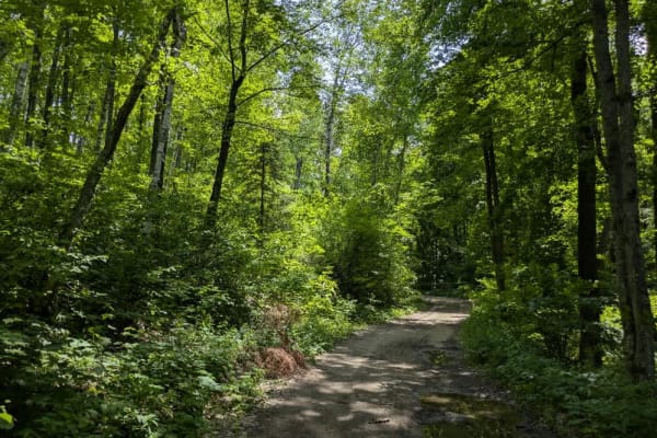 Crooked Lake Road