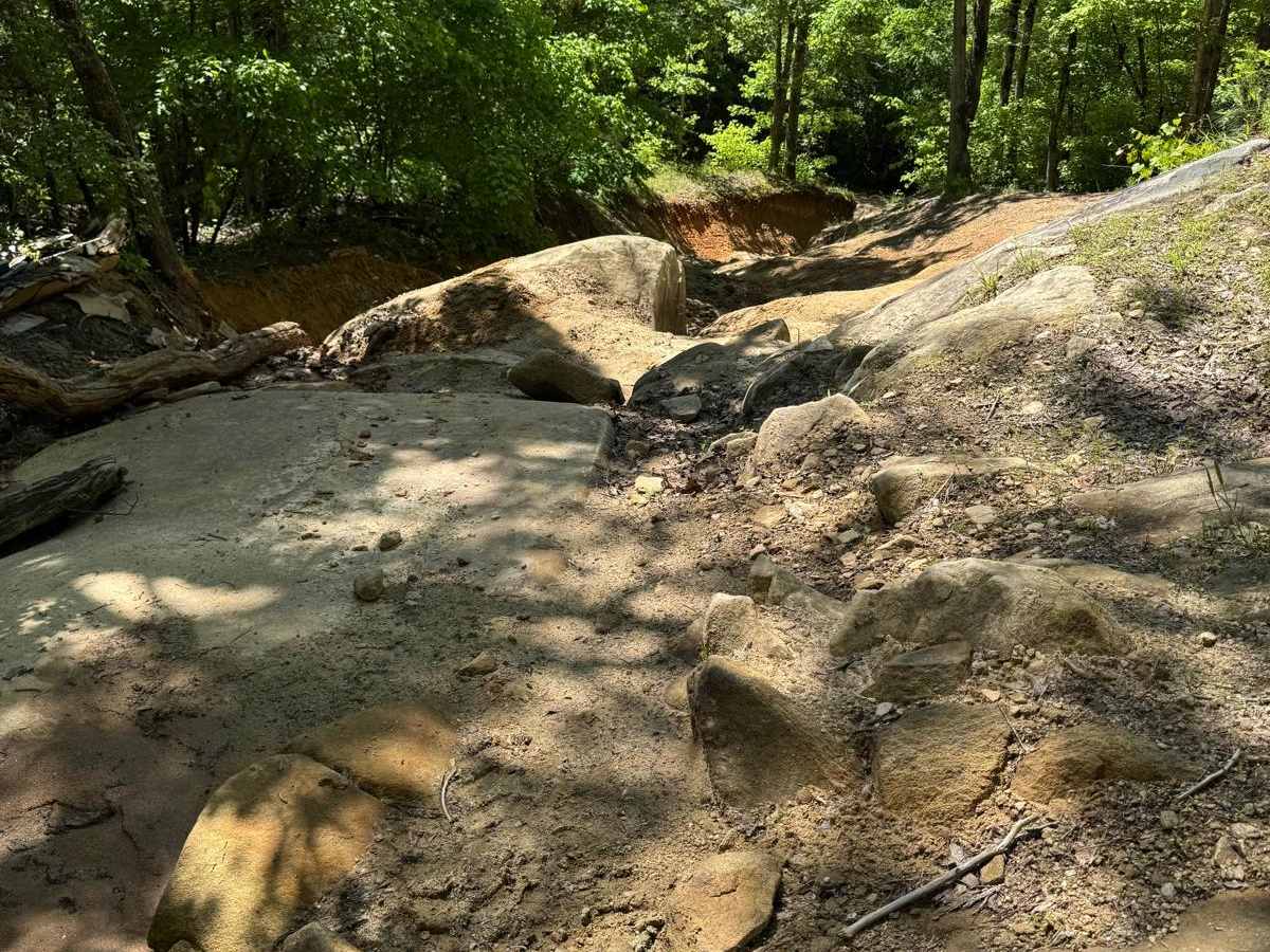 Eagle Rock photo 5