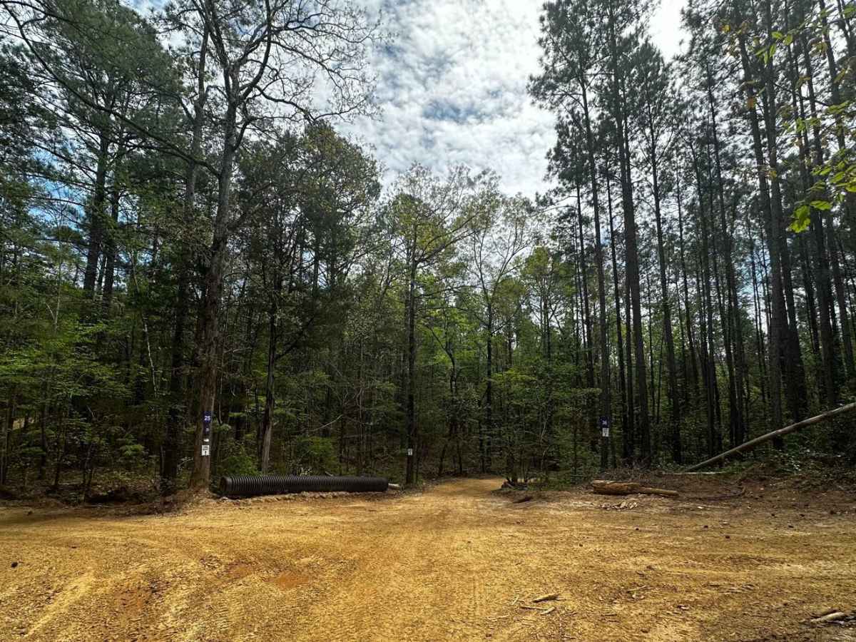 Trail 36 Hill photo 2