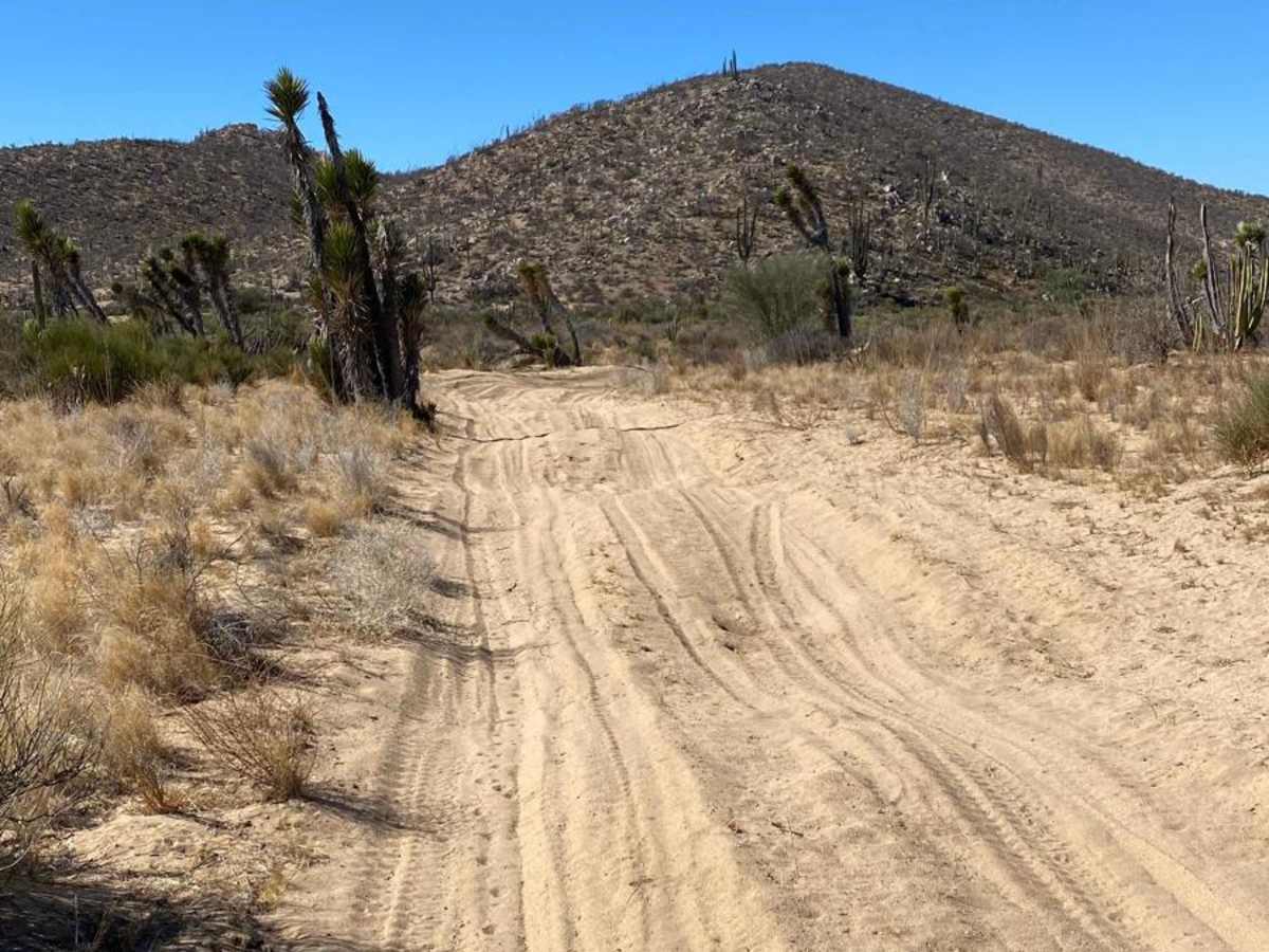 Middle South photo 3