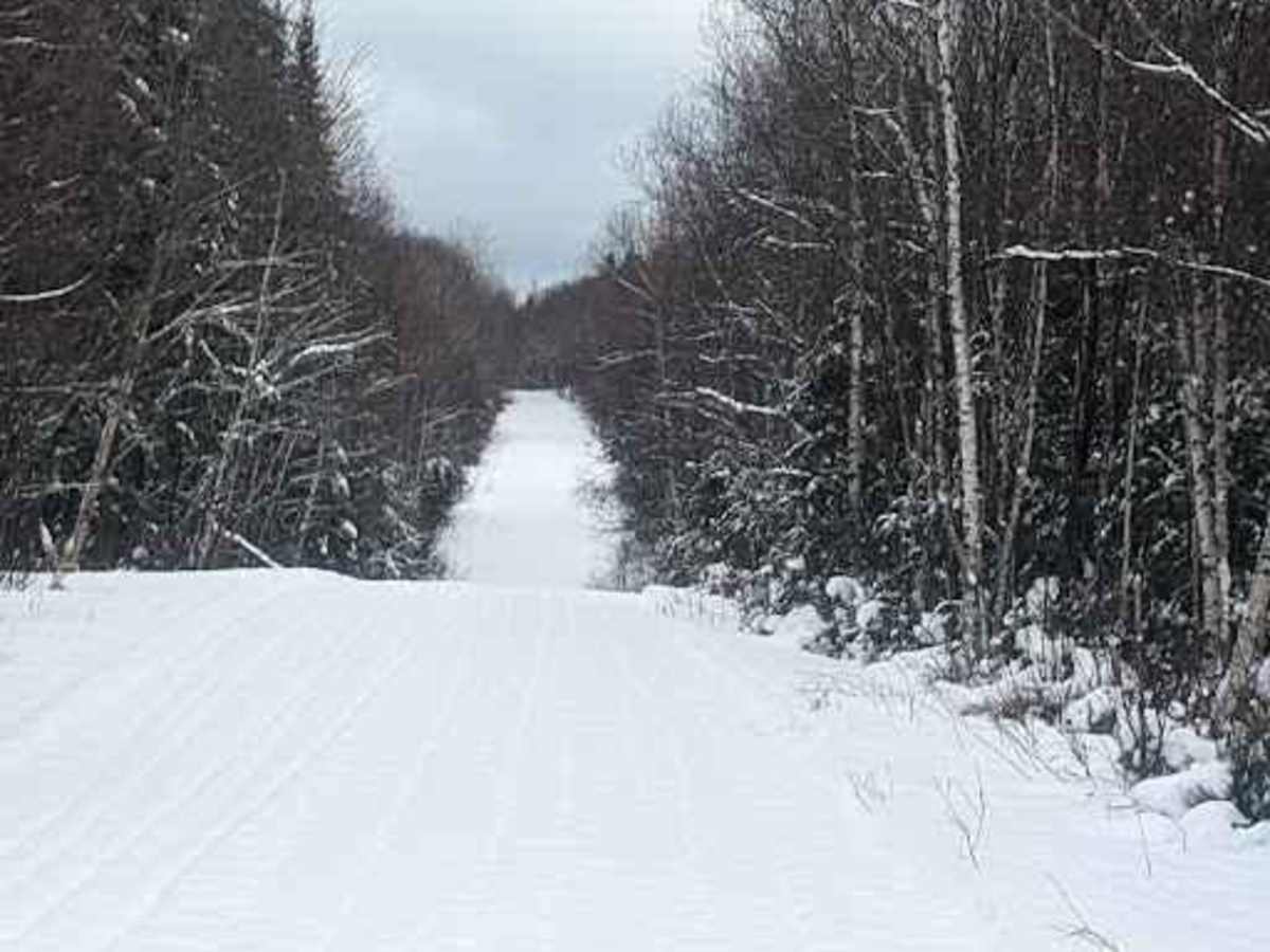 Millville Plane Crash photo 4