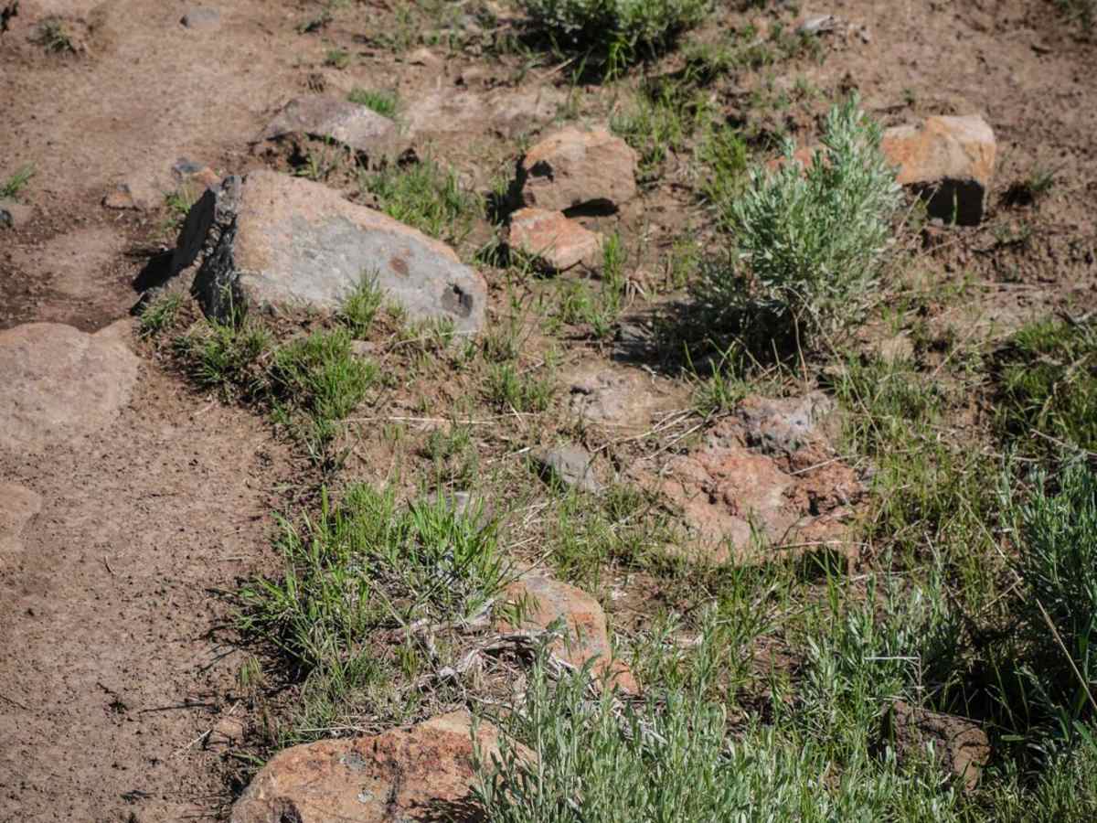 Upper Sugarloaf trail photo