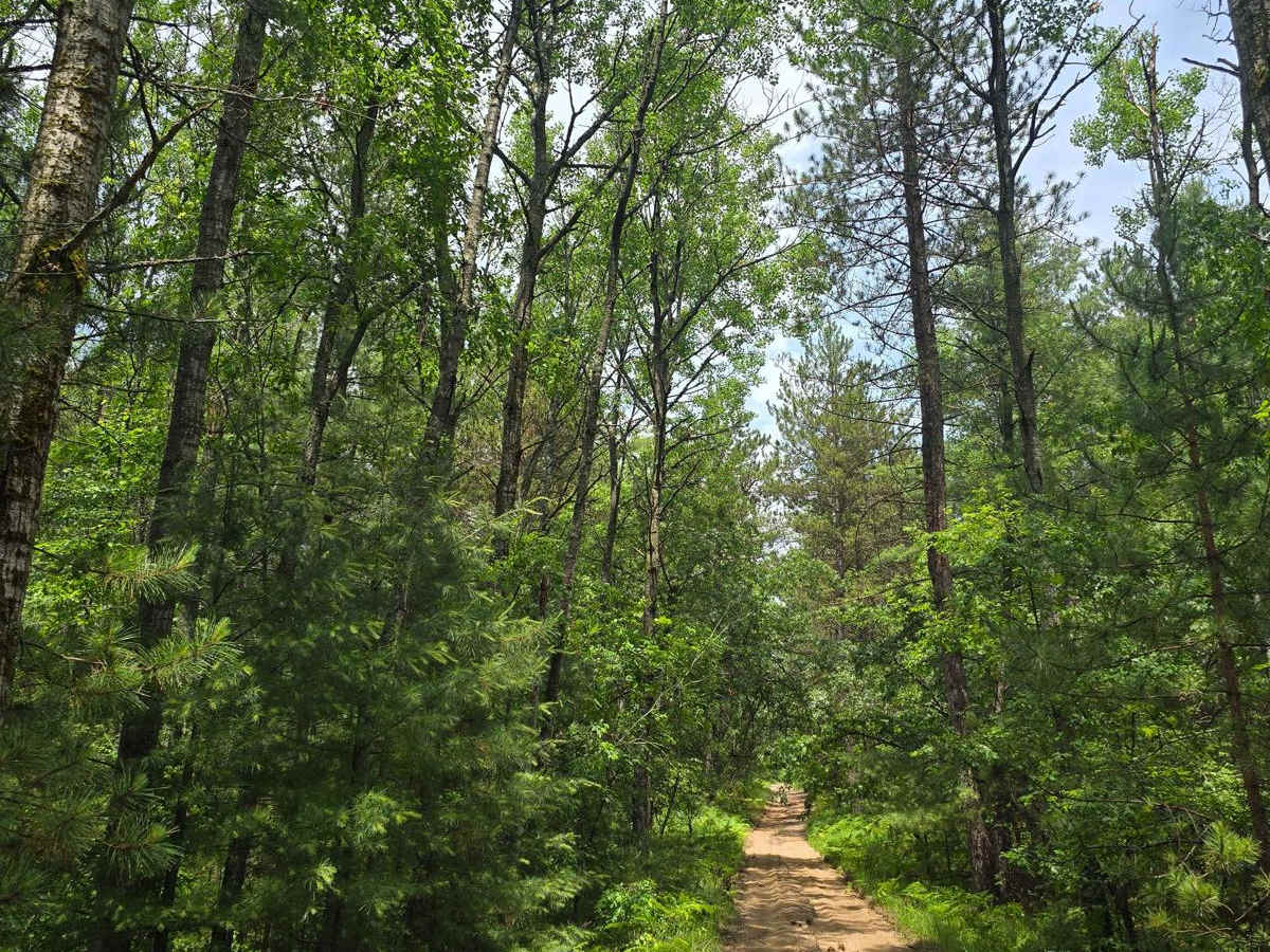 Kinsey Hunt - FS4474/FS4154 trail photo