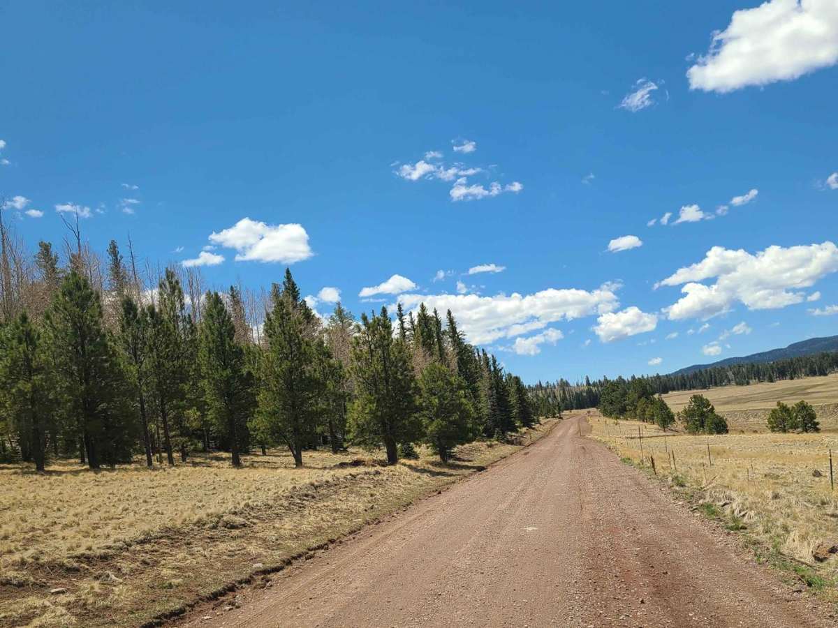 Forest Service Road 87 photo 3