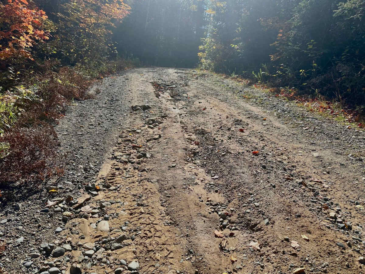 Dishno Road photo 6