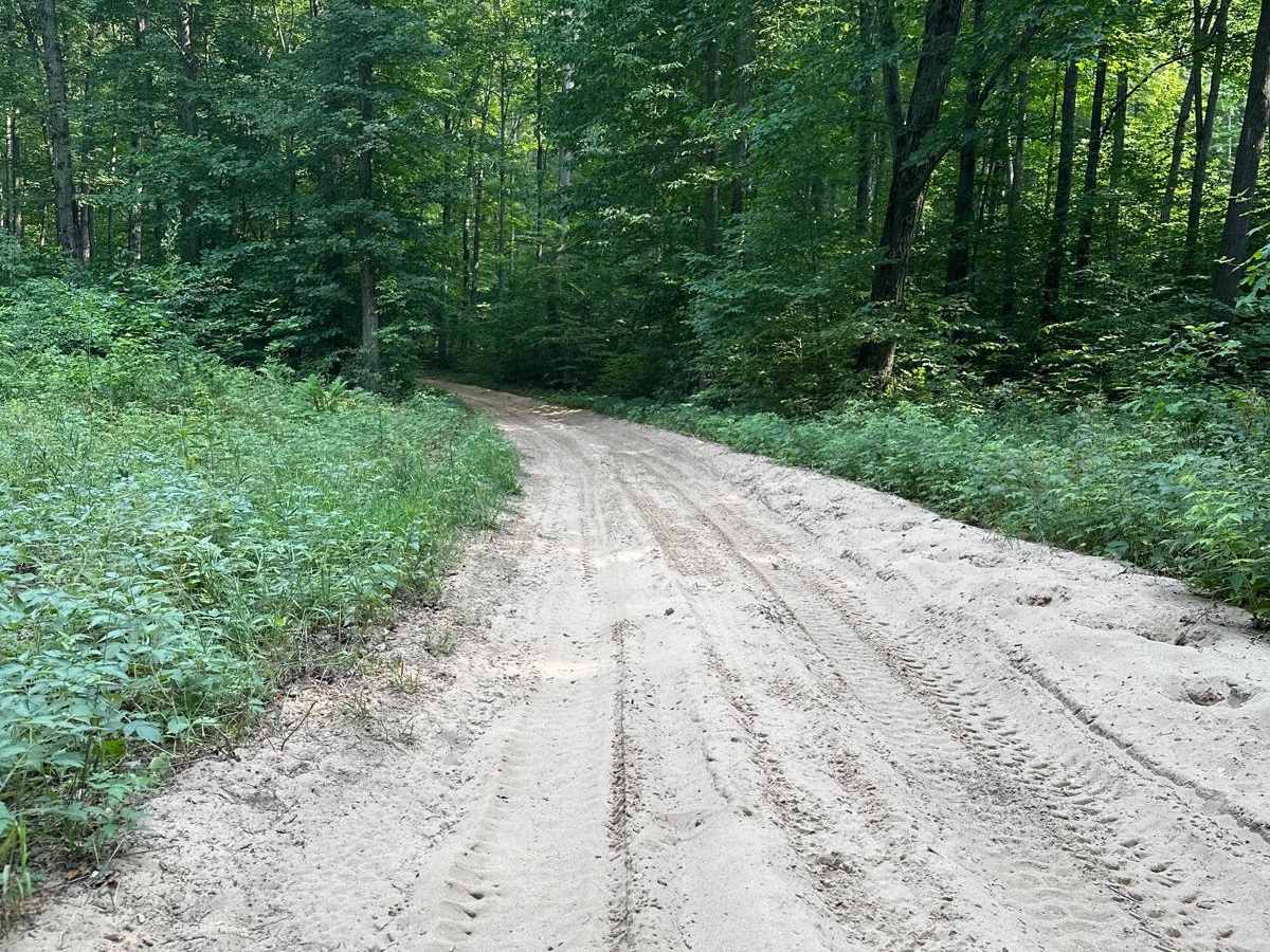 Turtle Lake Spur photo 6