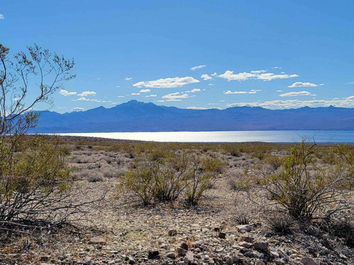 Arizona Bay Road - 38 photo 4