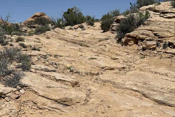 East Horseshoe Canyon