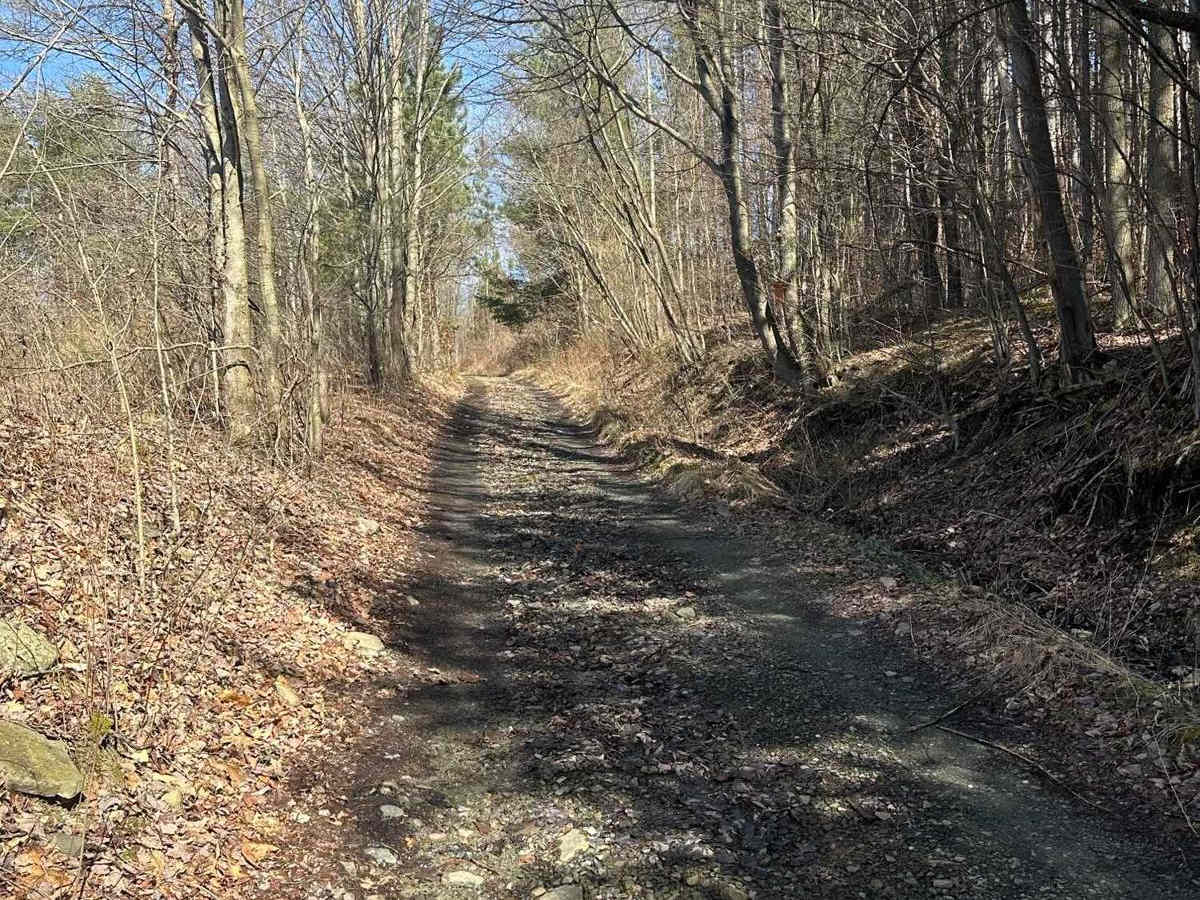 Van Husen Road photo 2