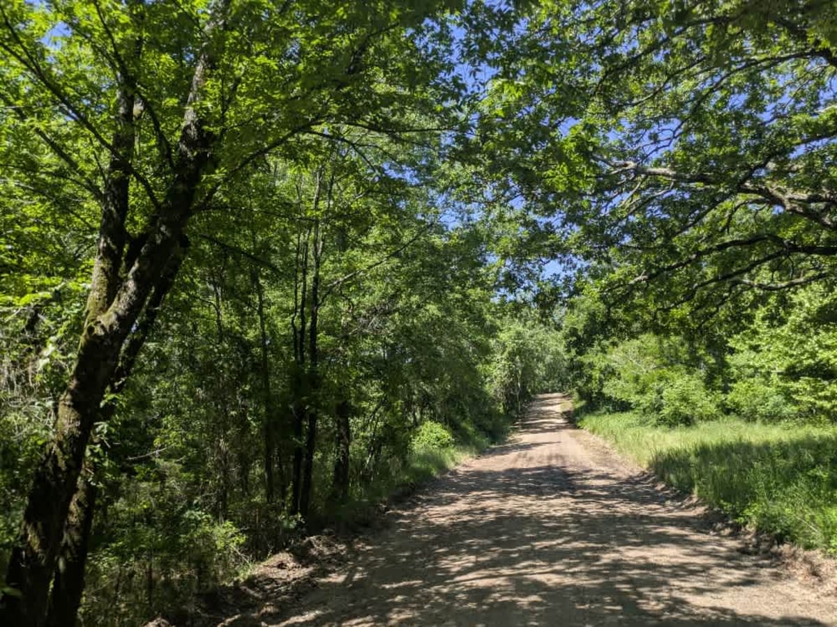 South Burnt Cabin Road - Northern Portion photo 5